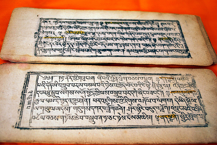 The opened book, its leaves printed from woodblocks; coloured highlights were added later by hand