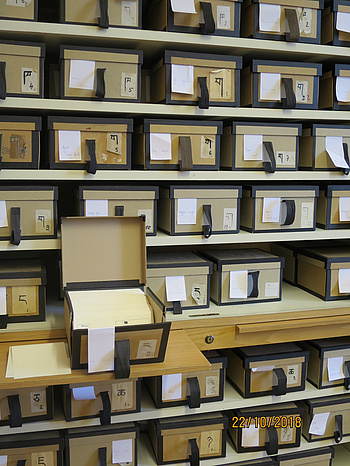 Slip boxes in the Tibetan Dictionary editorial office